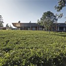 House In A Tea Garden