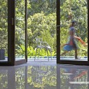 Green Cube House