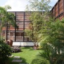 Terrace Garden House