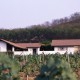 House on a Vineyard