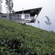 House on a Tea Plantation